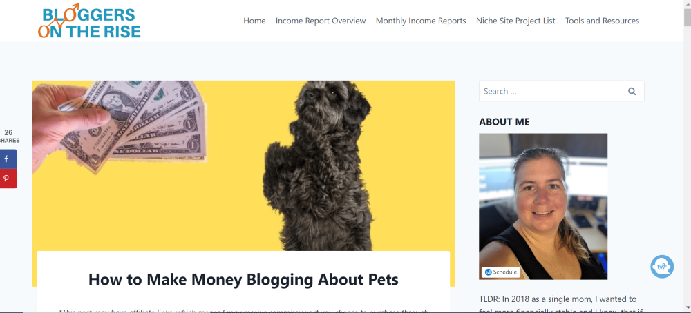 alt="A screenshot of a dog or cat blog called bloggerontherise.com"